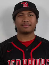JJ Torrente, Baseball Hitter
